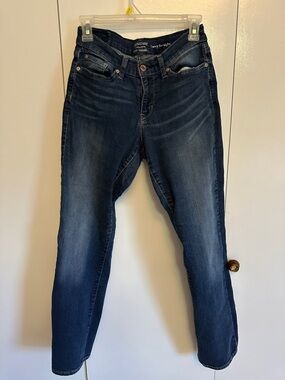 Signature Skinny Jeans in Dark Blue Wash